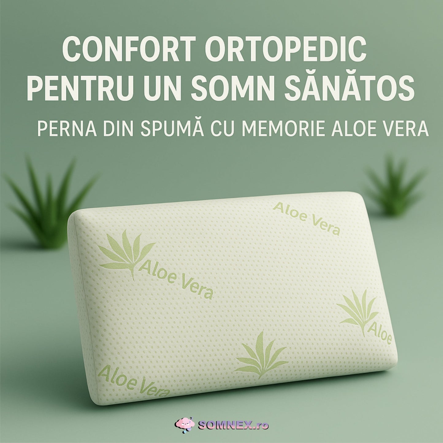 PERNA ORTOPEDIC ALOEVERA DIN SPUMA CU MEMORIE